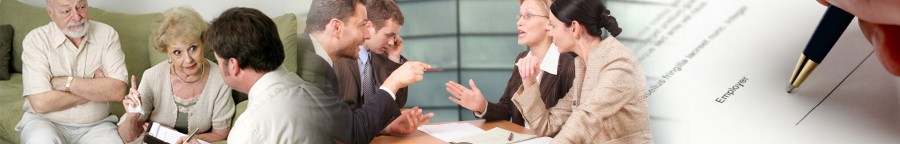 Dispute Resolution and Litigation Services